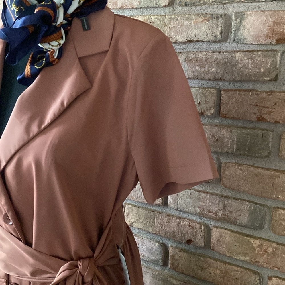 HYFVE Dusty Rose Blazer Dress - Picture 4 of 9
